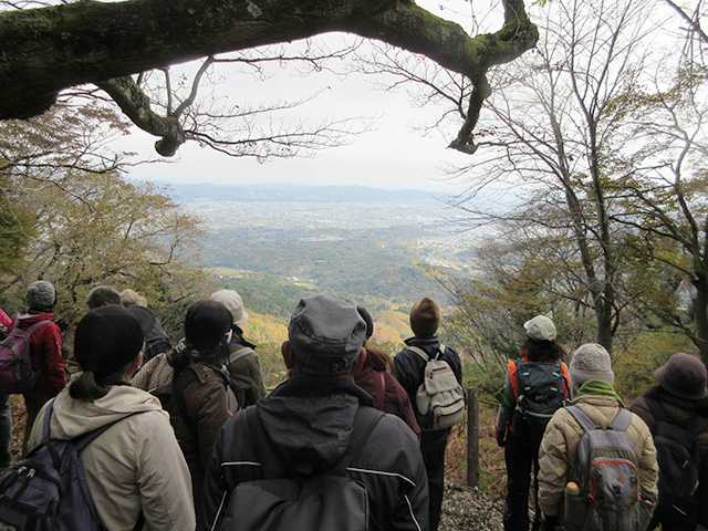 木々の間から、足柄平野を眺める参加者達。足柄平野は秋らしい風景