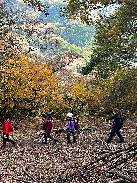落ち葉で覆われた林道を歩く参加者達。背景に黄色く色づいた木々