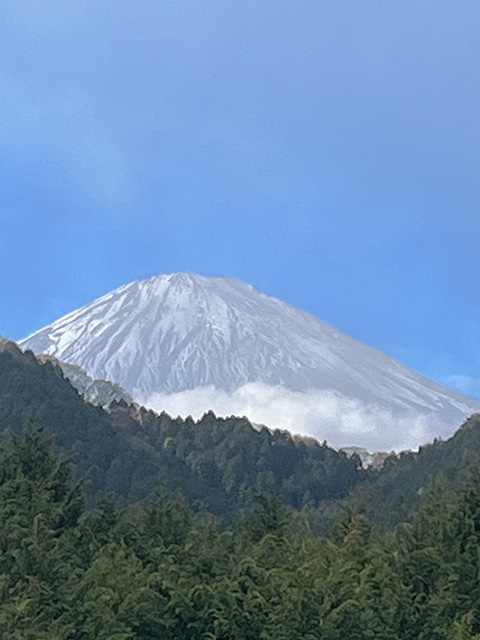 緑色の山の向こうに、薄く雪を被った富士山が大きく見える風景
