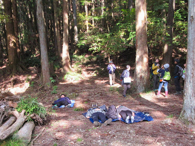 新の中の、日当たりのよい場所に仰向けに横たわる参加者たち